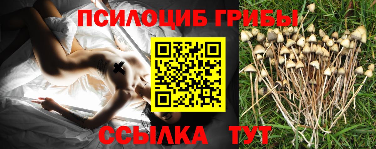 закладки  Вход с VPN  Саров  Галлюциногенные грибы прущие грибы 
