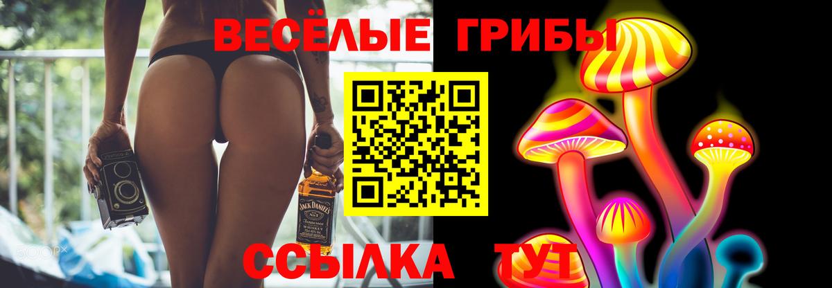 Галлюциногенные грибы Psilocybe Саров